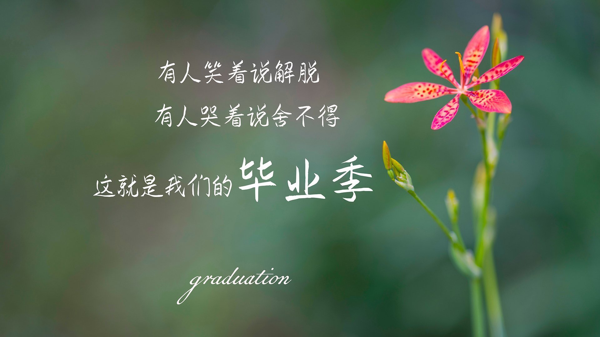 未来联盟：AI裁判、虚拟裁判融合带来的新体验？，未来联盟_ai裁判,虚拟裁判融合带来的新体验感悟