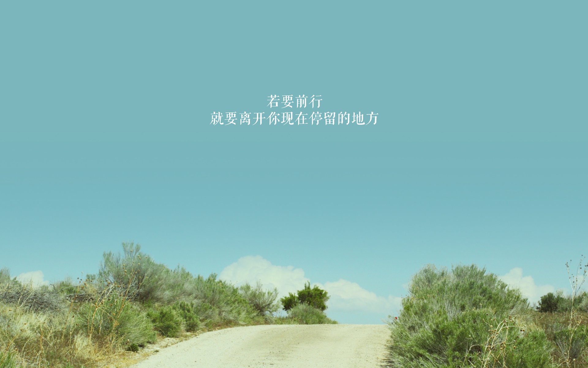 女足世界杯未来赛事规划，女足世界杯预选赛结果