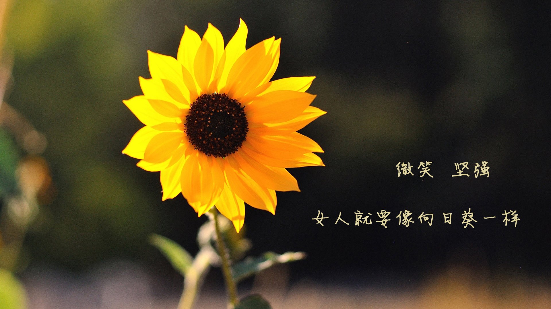 Kaiyun APP-巴黎圣日耳曼宣布姆巴佩本赛季后离队，姆巴佩几号球衣巴黎圣日耳曼