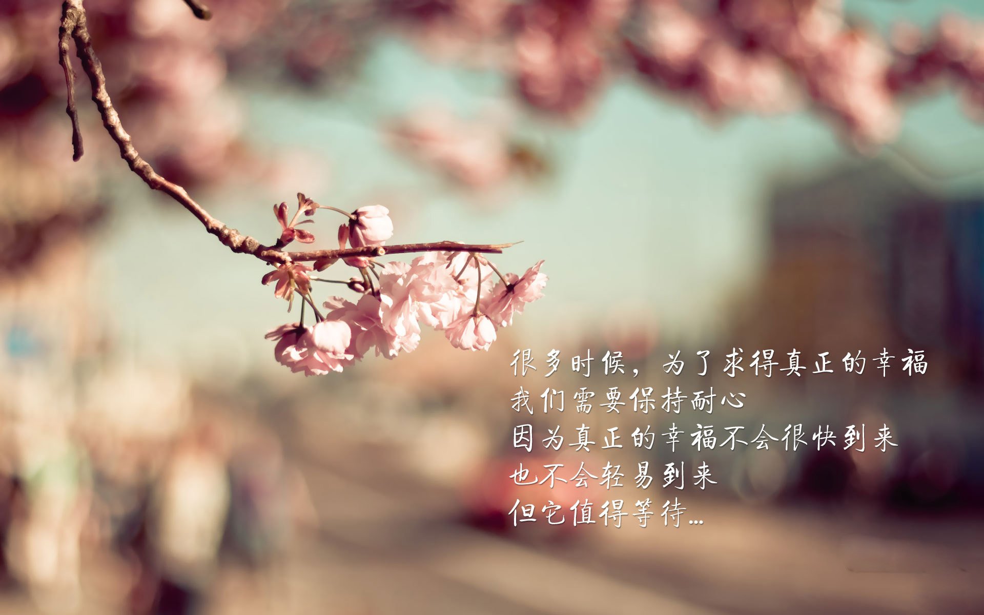 快船新星表现抢眼成为焦点，快船队新阵容图片