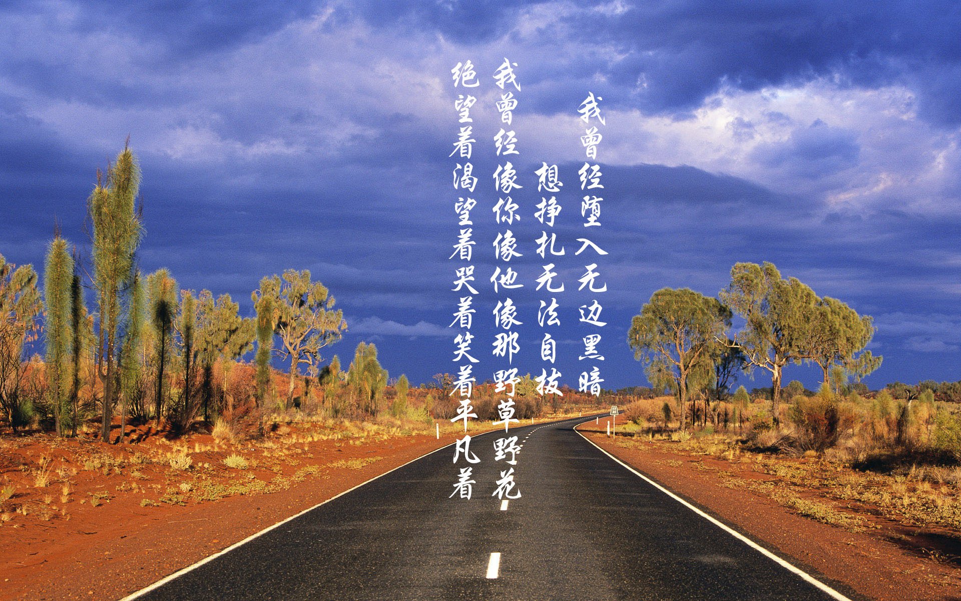 Kaiyun(中国)开云-柏林联队球员奋力拼搏，最终战胜对手，柏林联合新球衣
