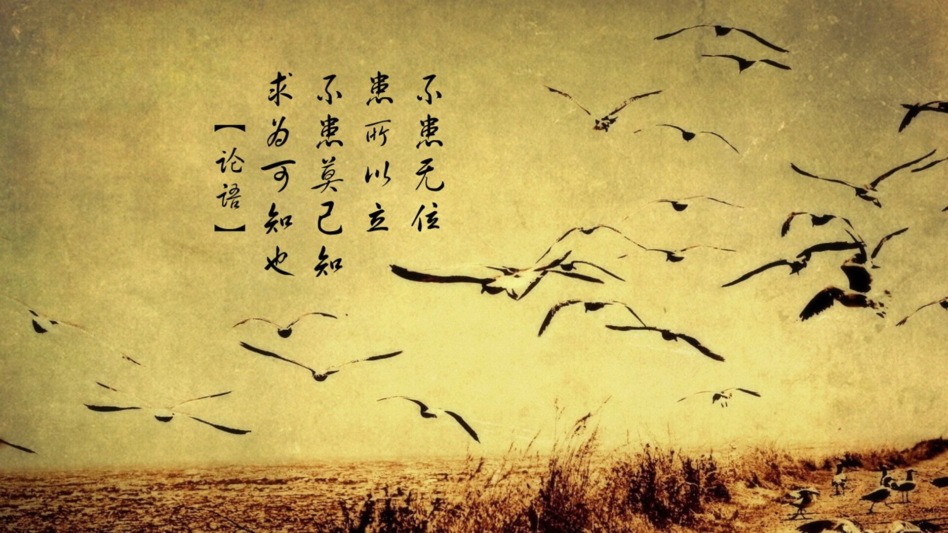 葡萄牙骑手玛丽亚·卡埃塔诺在2024年葡萄牙盛装舞步锦标赛中以“Hit Plus”马匹获得个人赛铜牌，展现坚韧精神。