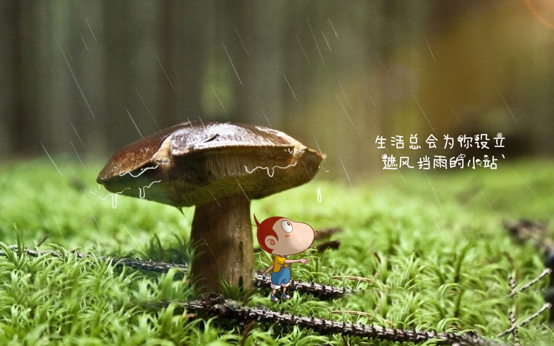 足球文化：五大联赛的球迷文化差异，中国足球球迷文化