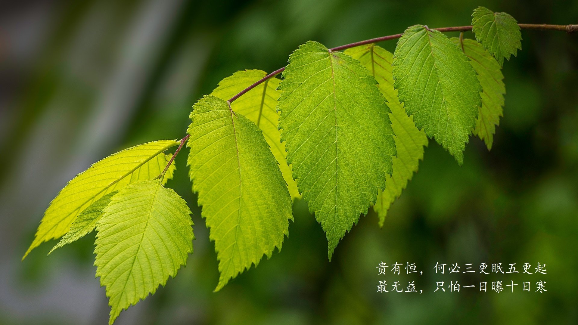 退役明星再出发：转变身份，影响新一代，明星退役叫什么