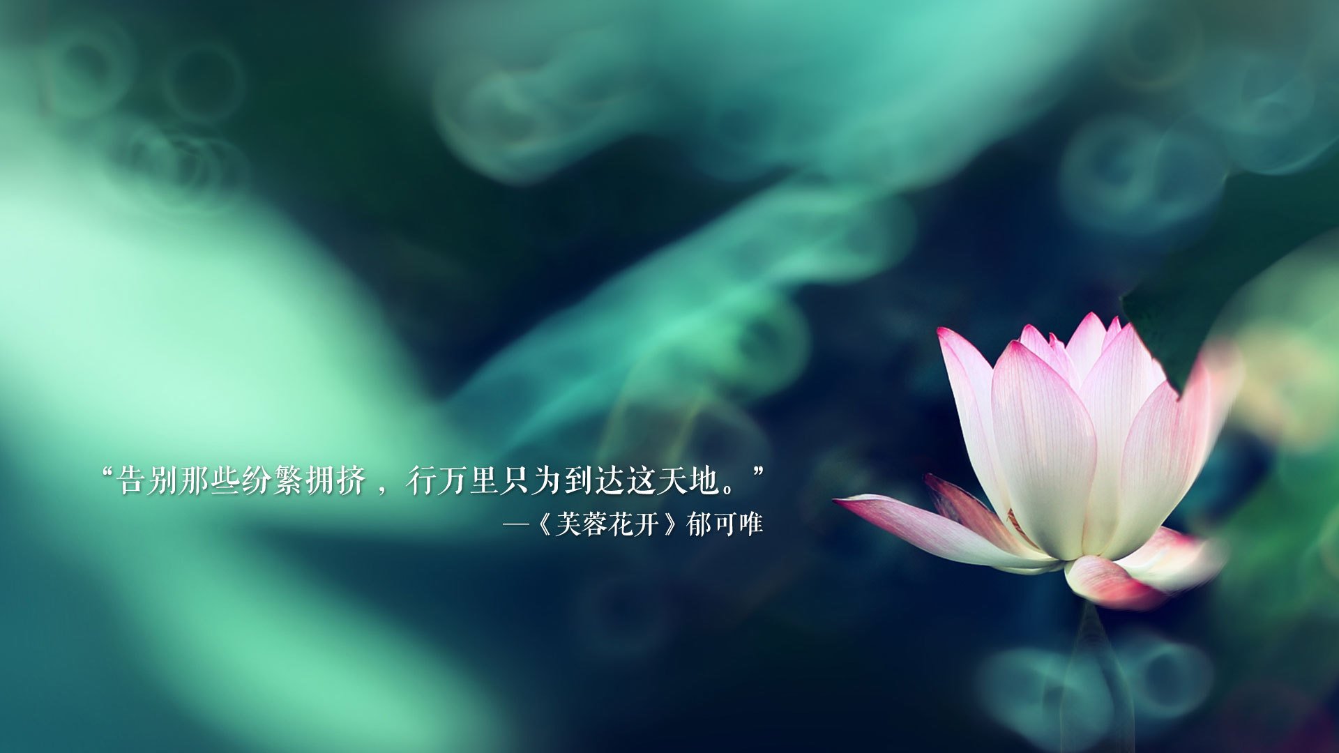 勒沃库森节奏掌控力增强压制全场，勒沃库森精选球员