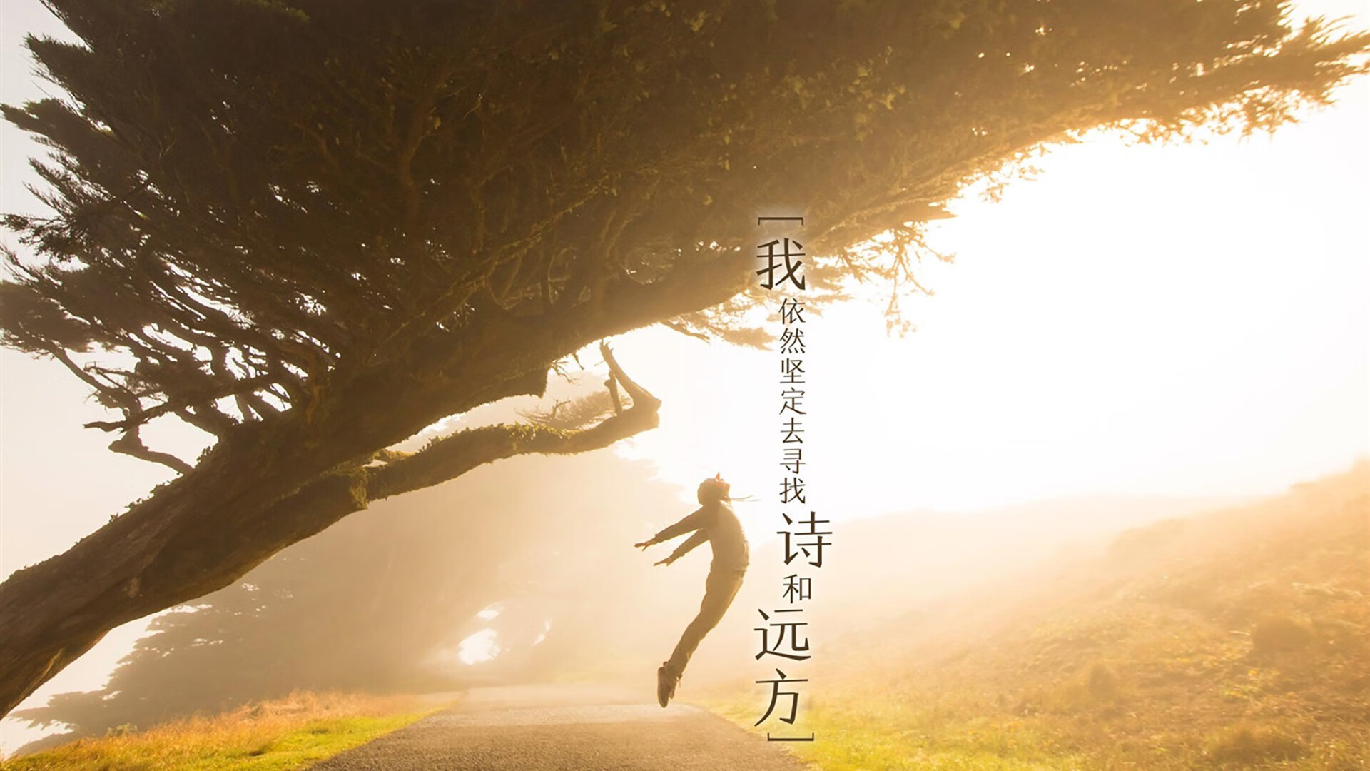 博卡依赖边路突击，套路相对单一，博伊卡实战怎么样