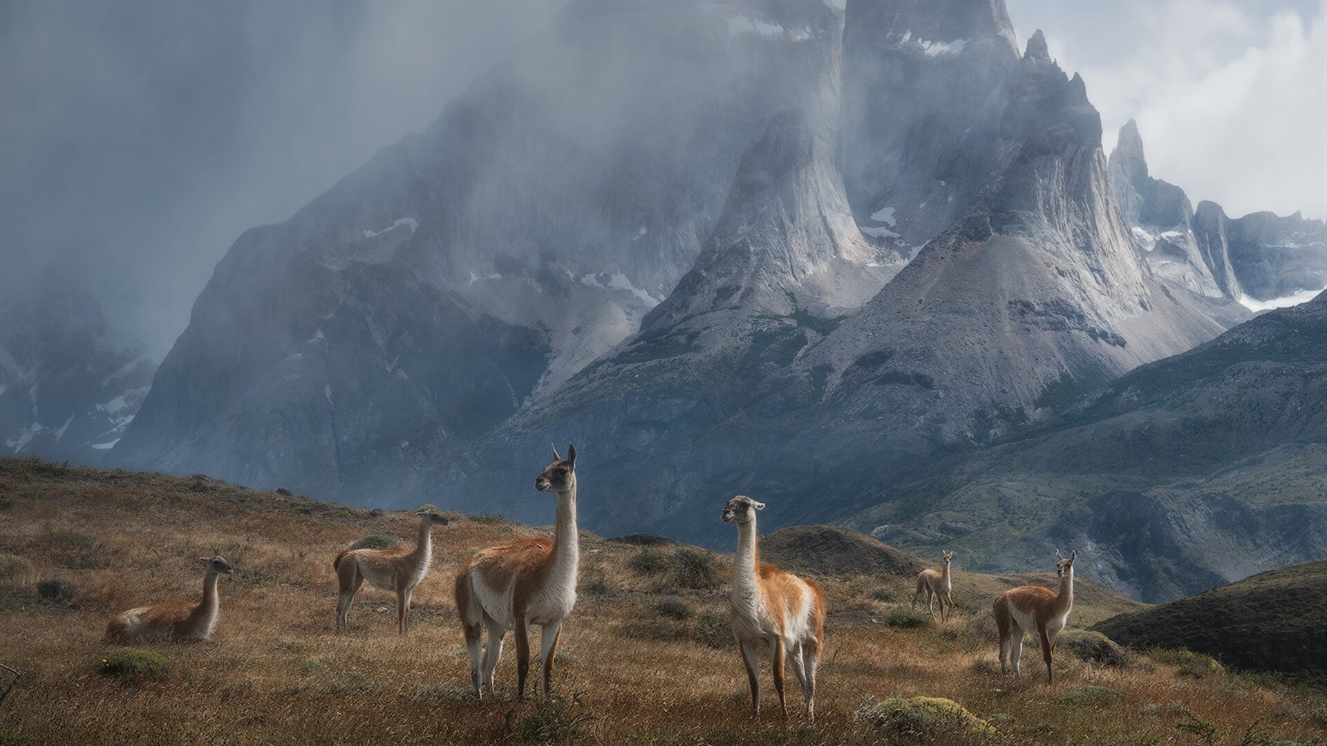 “胡利安·门德斯的坚韧精神与精湛技巧,助力阿根廷美洲狮队勇攀高峰”