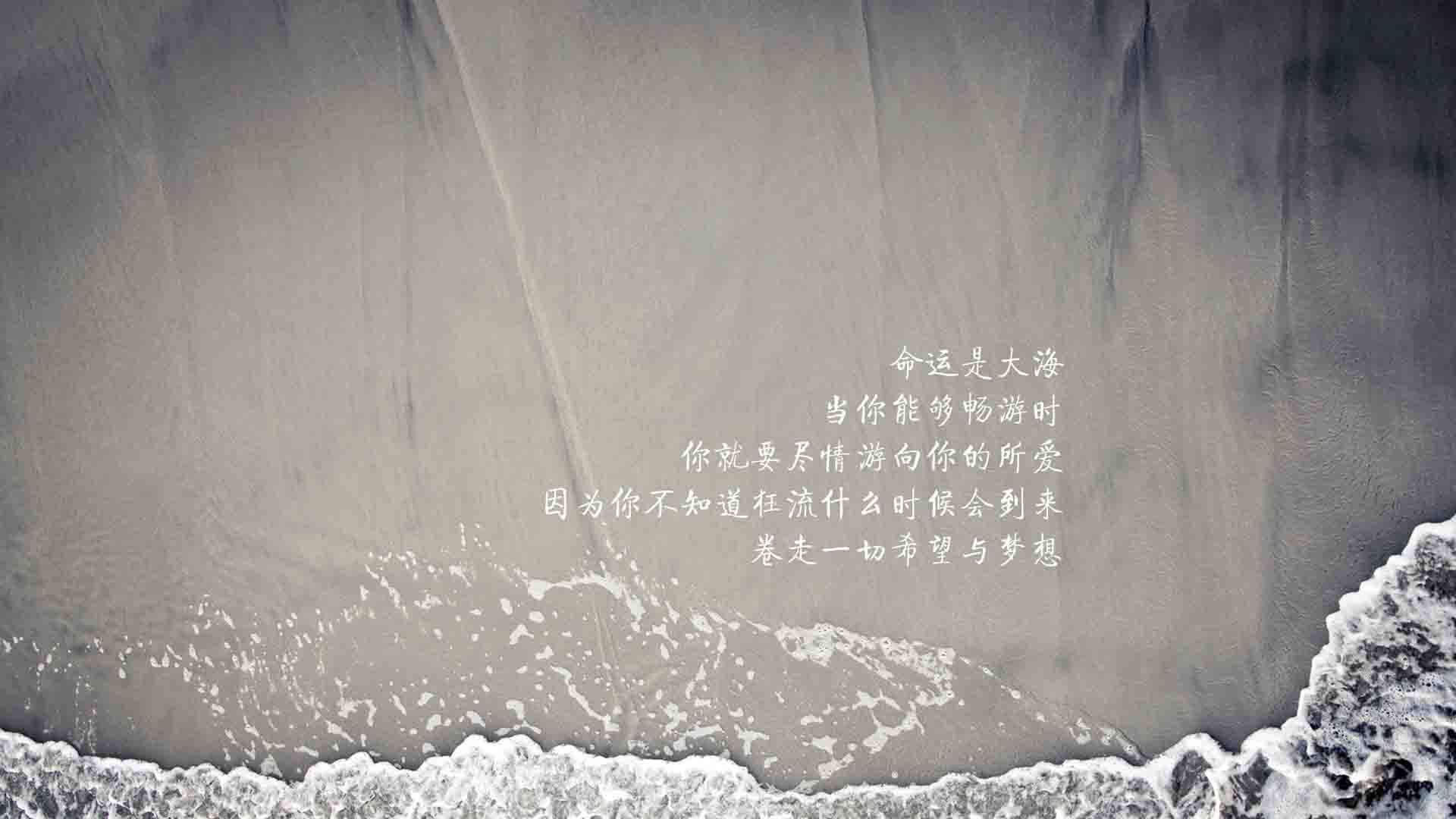 德甲攻守激烈：节奏快，精彩不断！，德甲德甲