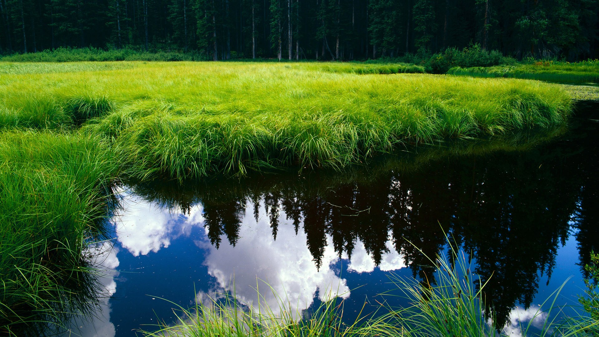 开云入口-英超争冠持续升温：每场都如决战！，英超的比赛