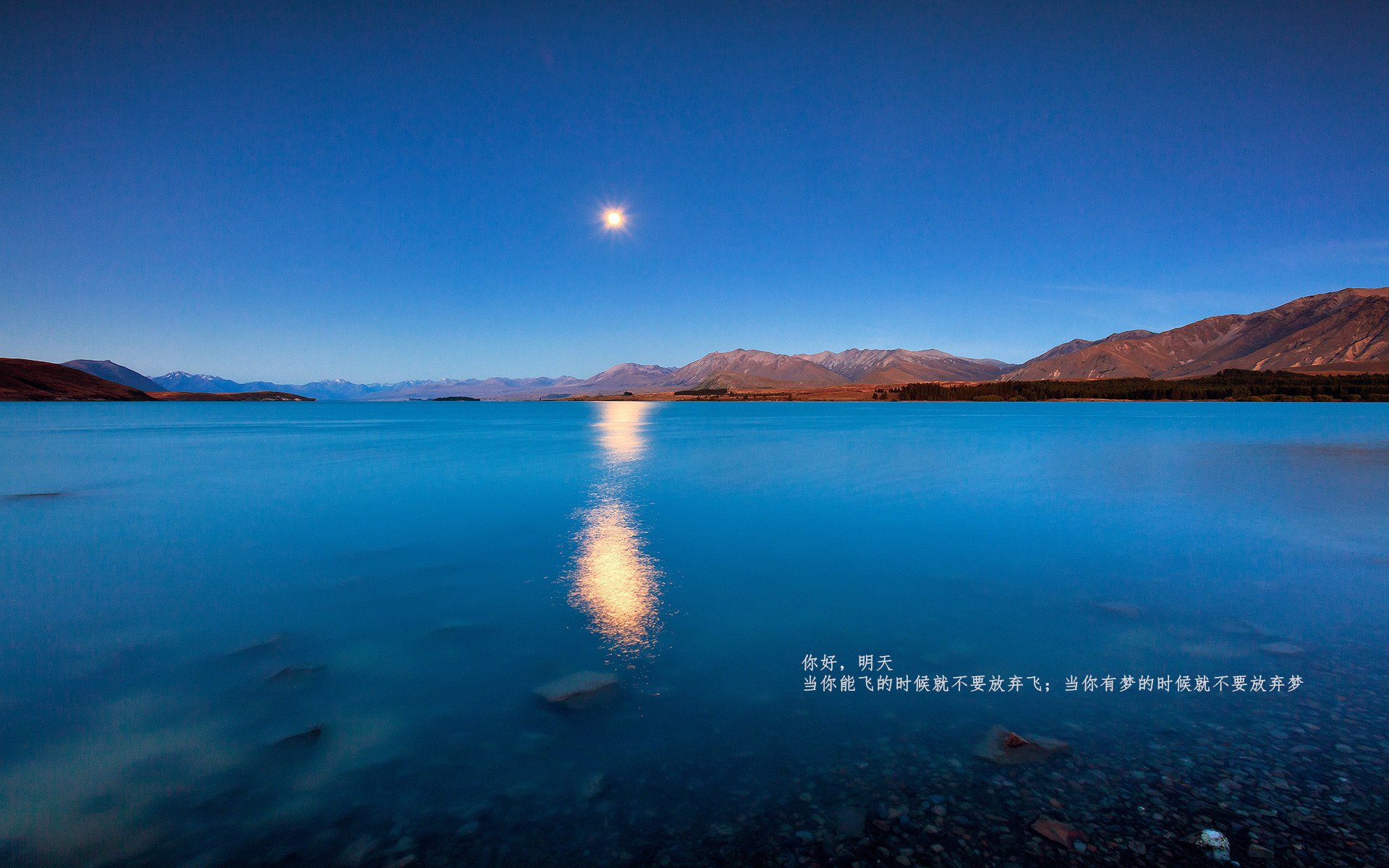 萨默·麦金托什蝶泳决赛展现绝佳爆发力,麦金托什游泳