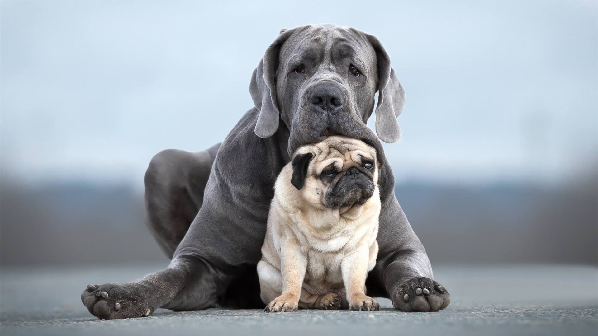 詹姆斯带队逆转对手再次创造奇迹,詹姆斯大逆转