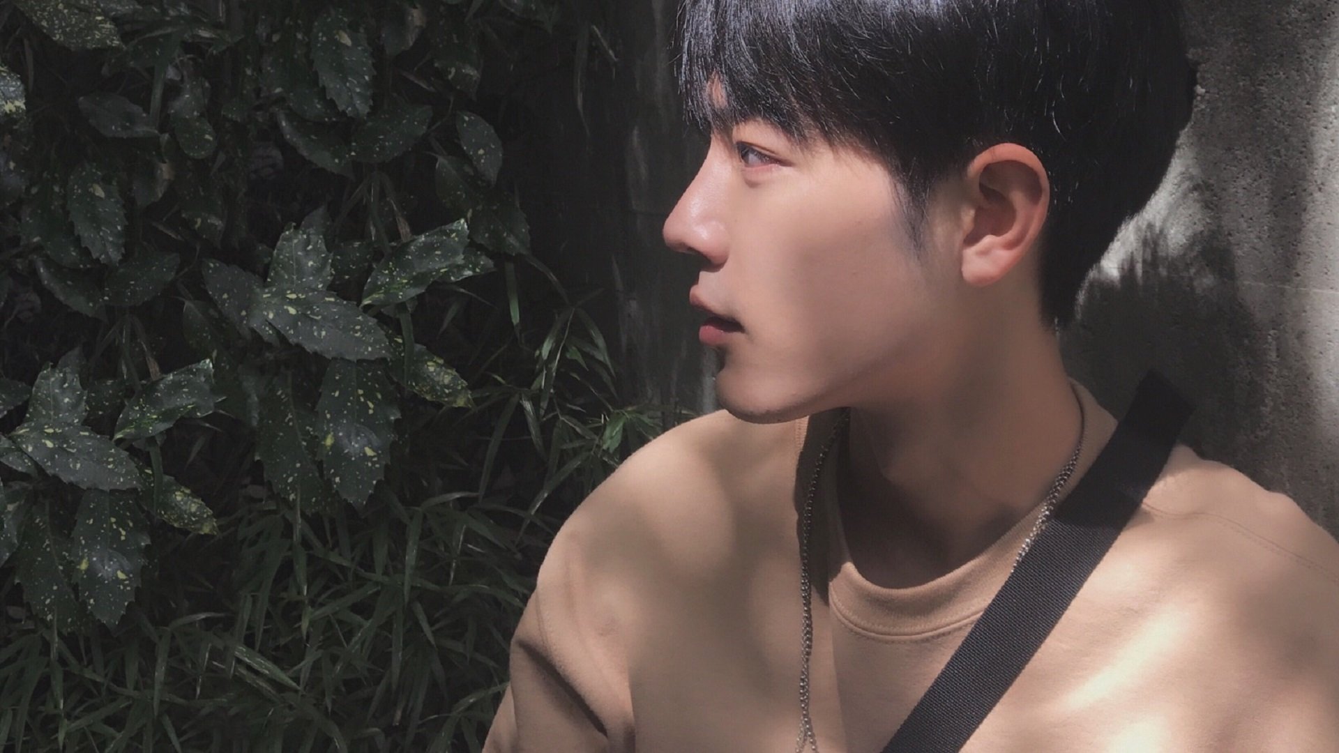 里根·史密斯展现出色耐力与速度,美国游泳里根史密斯